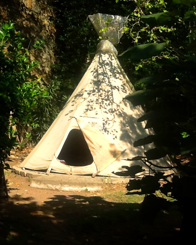 Tepee in a clearing in the woods